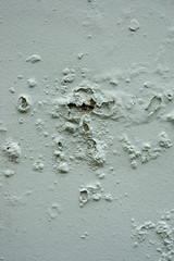 blister wall