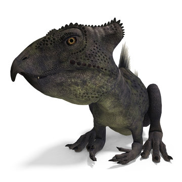 Dinosaur Archaeoceratops. 3D rendering with clipping path and