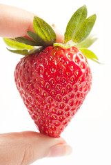 Obraz premium Strawberries isolated