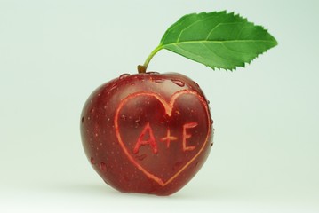 Adam und Evas Apfel