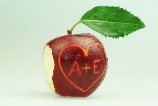 Apfel von Adam und Eva
