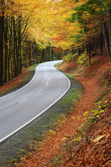 Fototapeta premium autumn road