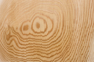 Fototapeta na wymiar Głowa pełna deska drewno cedrowe