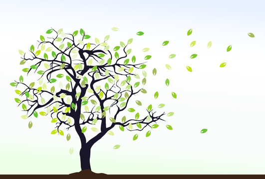 Tree, vector illustration