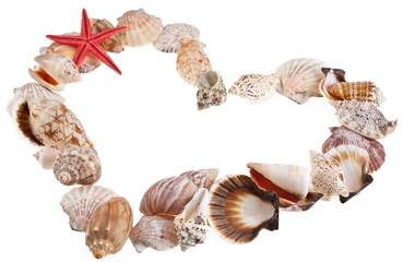 Shells in a shape of  valentine's heart on a white