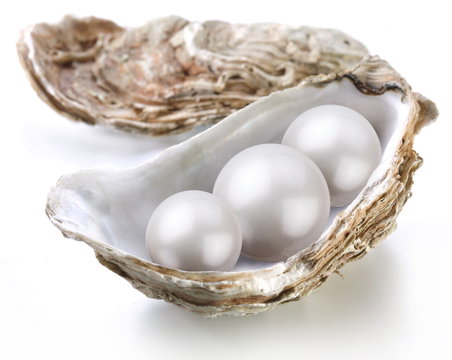 Image placer pearls in a shell on a white background.