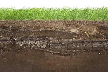 Deurstickers Grass and soil layers isolated on white © klikk