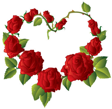 Heart shape Framework made of Beautiful red roses