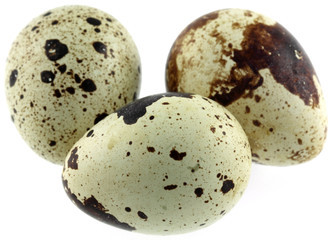 Obraz premium des oeufs de caille