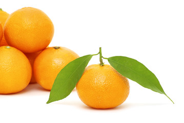 tangerine