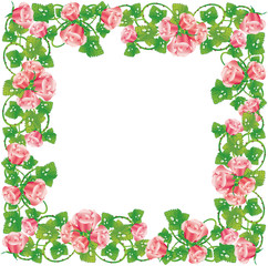 Illustrated rose fame