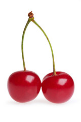 Two red cherries isolated