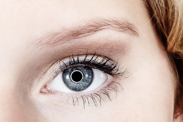 Fototapeta premium Junge Frau Auge