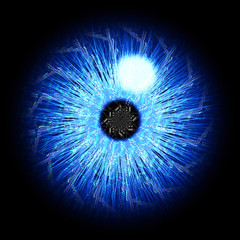 Digital iris