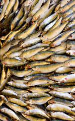 Obraz premium Freshly caught fish for sale at Turkish street market
