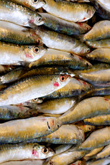 Obraz premium Freshly caught fish for sale at Turkish street market