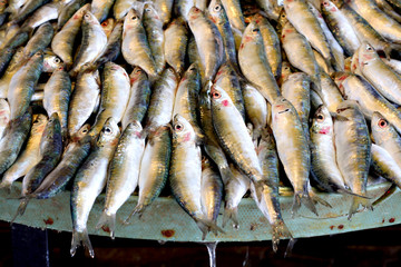 Freshly caught fish for sale at Turkish street market