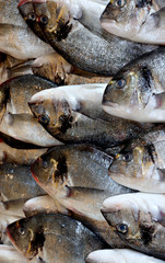 Freshly caught fish for sale at Turkish street market