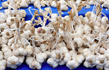 Bunches of tied up garlic on market stall