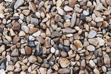 pebble