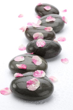 Spa stones with rose petals on white background.