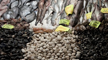 Sea food on a market