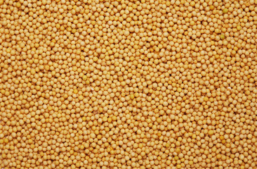 Ttexture of spices