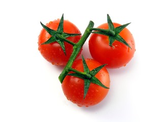 Wet fresh tomatoes with stem & leaves on white background
