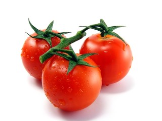 Wet fresh tomatoes with stem & leaves on white background