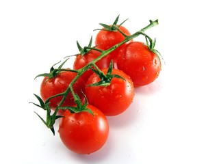 Wet fresh tomatoes with stem & leaves on white background