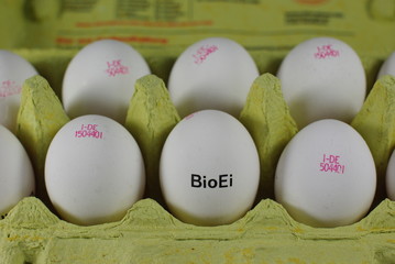 Eier