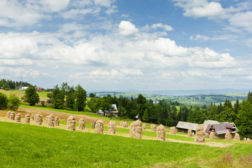 landscape of Tatras near Zakopane, Poland