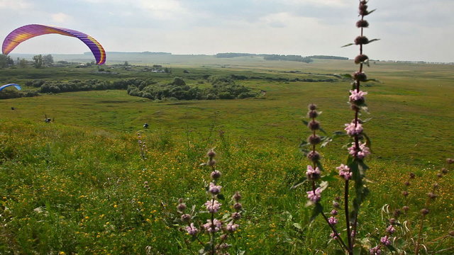 Paraglider lands on the lawn near the village.