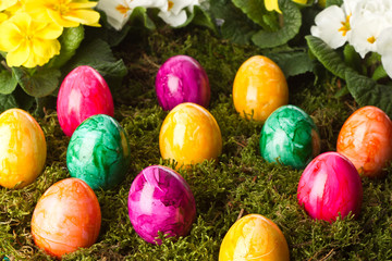 bunte ostereier im moos