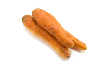 carrot