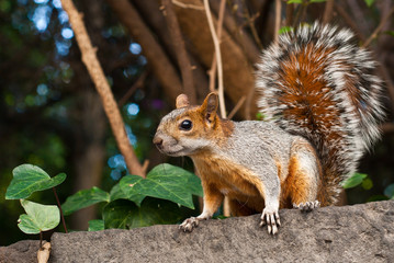 Schau her! / Watche me!