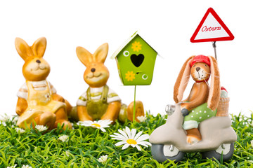 osterhasen auf der blumenwiese