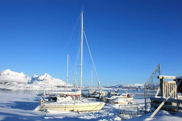 Gordijnen Arctic sailboats © izzog