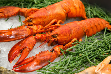 sea food table