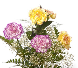 bouquet with carnations isolated close up