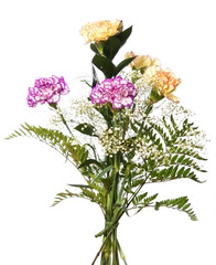 bouquet with carnations isolated