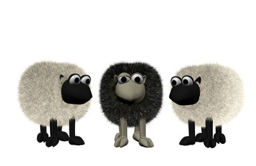a b3d black sheep between two white sheep