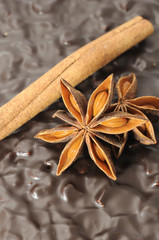 Anise And Cinnamon Stick on Chocolate Cake