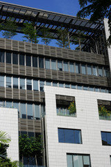 Modern Architecture with Trees