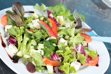 Vegetarischer Salatteller