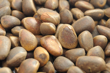 Pine Nuts Closeup