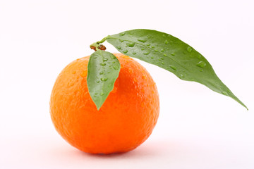 Ripe mandarin with green leaves and drops of water