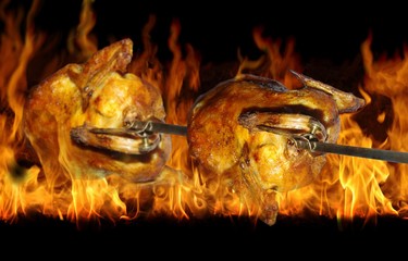 chicken on grill