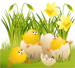 Easter chickens