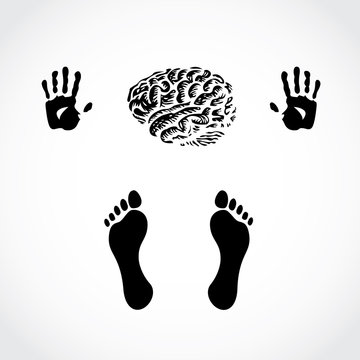 hands foots and brain - illustration